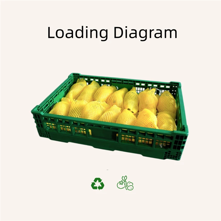 Mesh Collapsible Crate suppliers